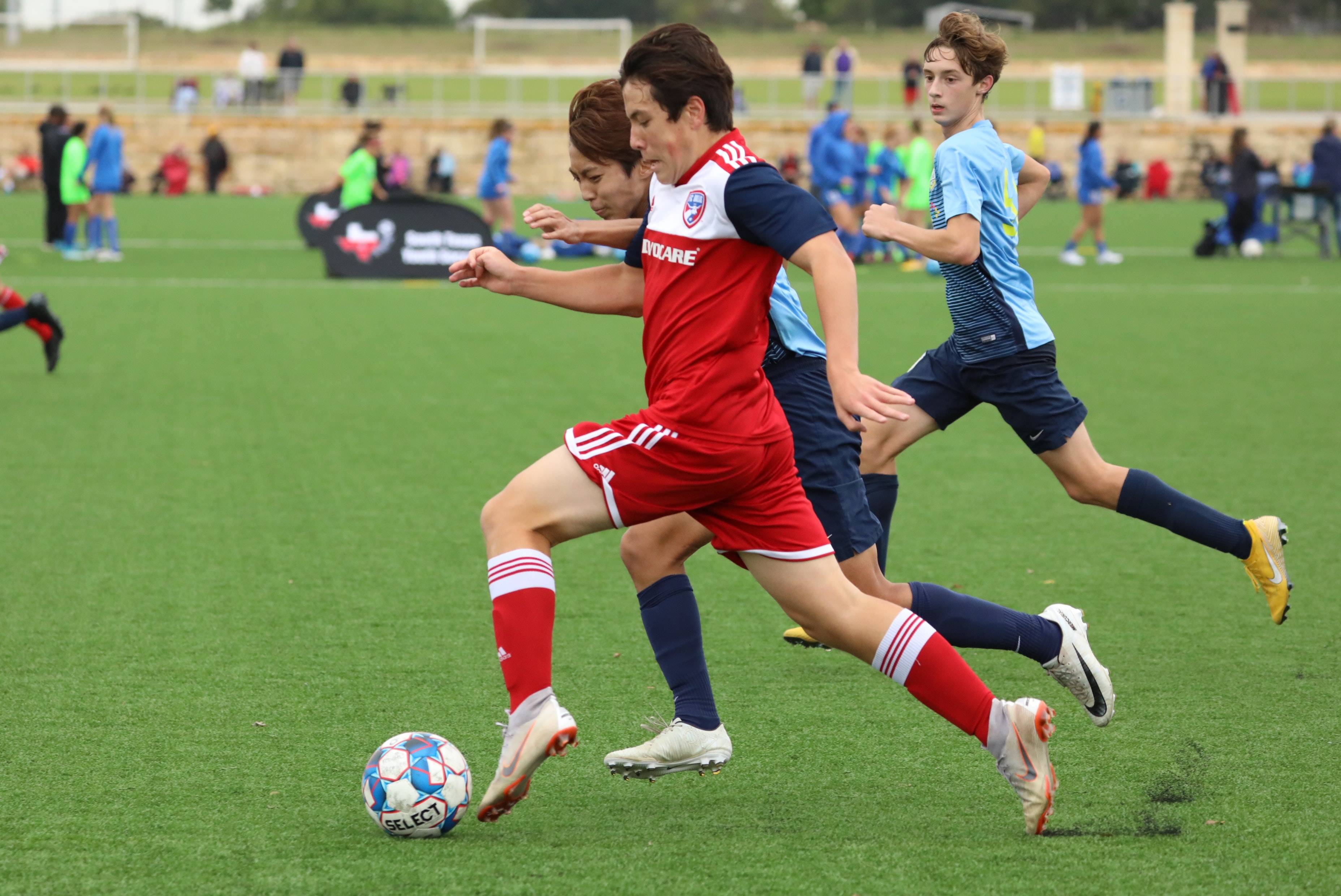 女篮的奥运 女篮的奥运